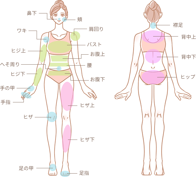 施術部位の図